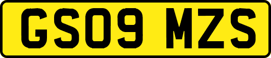GS09MZS