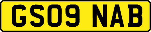 GS09NAB