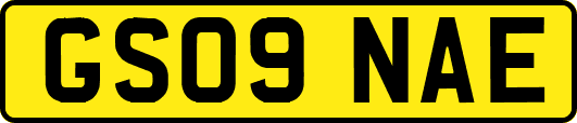 GS09NAE