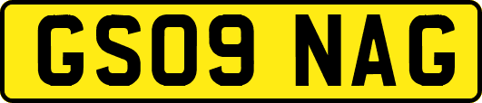 GS09NAG