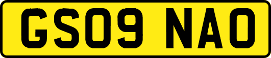 GS09NAO