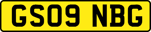 GS09NBG