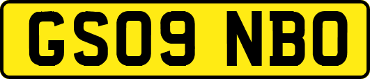 GS09NBO