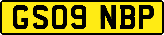 GS09NBP