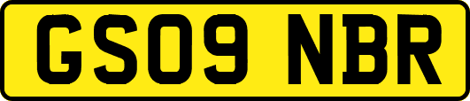 GS09NBR