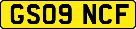 GS09NCF