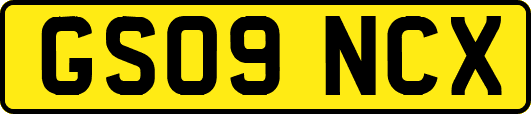 GS09NCX
