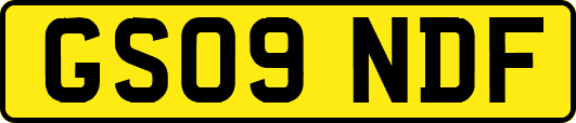 GS09NDF