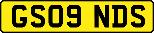 GS09NDS