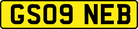 GS09NEB