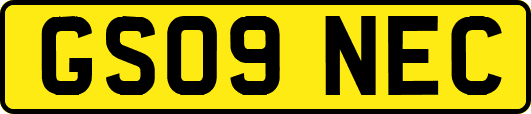 GS09NEC