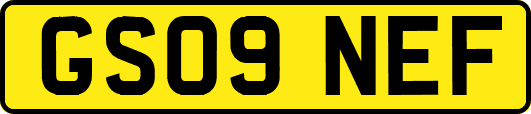 GS09NEF
