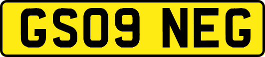 GS09NEG