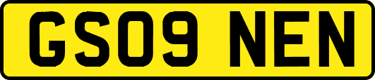 GS09NEN