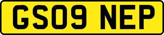 GS09NEP