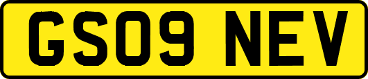 GS09NEV