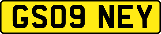 GS09NEY