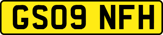 GS09NFH