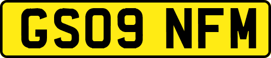 GS09NFM
