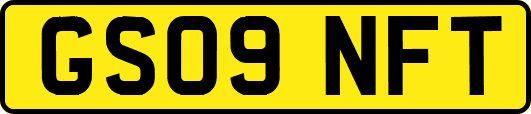GS09NFT