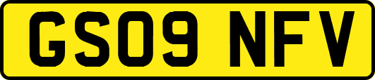 GS09NFV