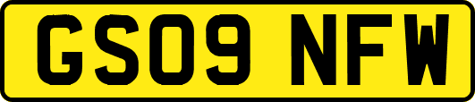 GS09NFW