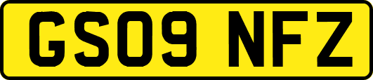 GS09NFZ