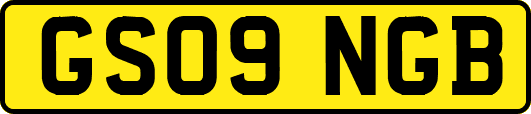 GS09NGB