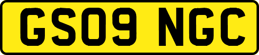 GS09NGC