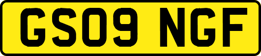 GS09NGF