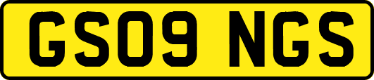 GS09NGS