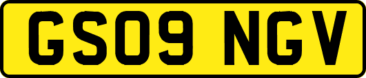GS09NGV