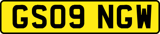 GS09NGW