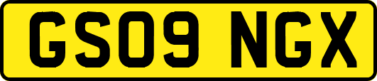 GS09NGX