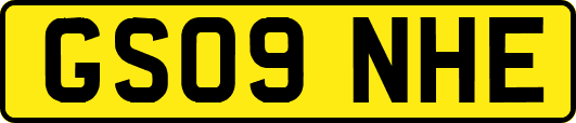 GS09NHE