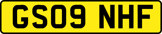 GS09NHF