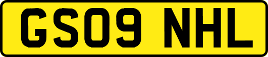 GS09NHL