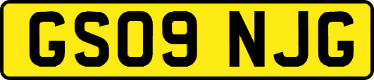 GS09NJG