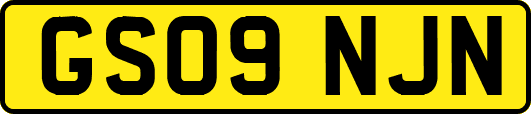 GS09NJN