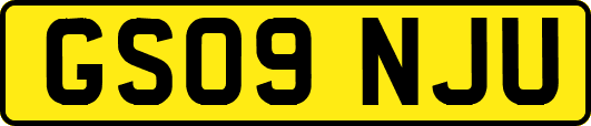GS09NJU