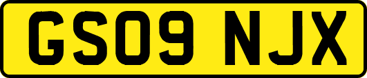 GS09NJX