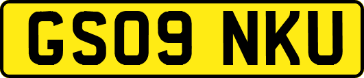 GS09NKU