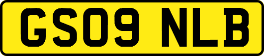 GS09NLB