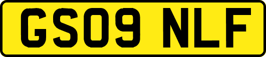 GS09NLF