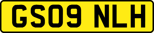 GS09NLH