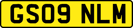 GS09NLM