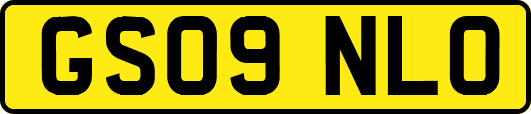 GS09NLO