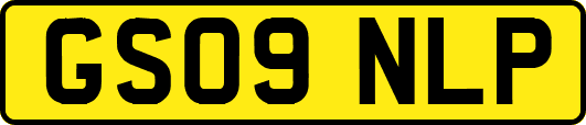 GS09NLP
