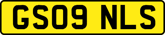 GS09NLS
