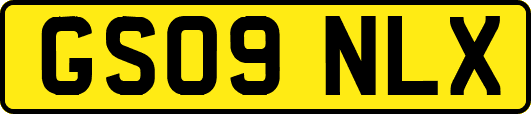 GS09NLX